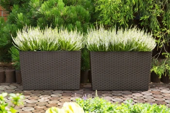 WERBENA RATTAN mokka
