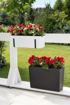 WERBENA  RATTAN mokka_ BEGONIA  RATTAN