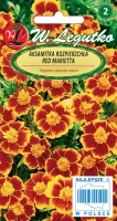 Nasiona Aksamitka Red Marietta mahoniowoczerwona