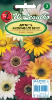 Nasiona Arktotis Niedźwiedzie ucho mieszanka, 0,5g