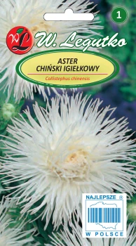 Aster chiński igiełkowy biały