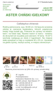 Aster chiński igiełkowy czerwony,