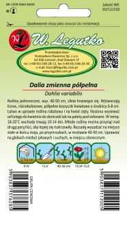 Dalia karłowa pełna i półpełna-mix
