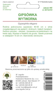 Gipsówka wytworna biała