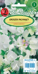 Nasiona Groszek pachnący biały, 3g