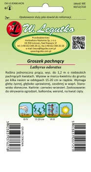 Groszek_pachnacy_niebieski_tyl.jpg