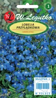 Nasiona Lobelia przylądkowa, Stroiczka niebieska