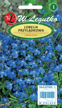 Nasiona Lobelia przylądkowa, Stroiczka niebieska