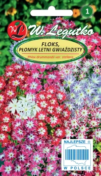 Floks gwiaździsty mieszanka