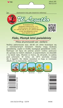 Floks gwiaździsty mieszanka