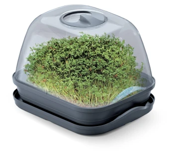 Respana_Table_Greenhouse_DREM260_aranz_02_m.jpg