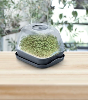 Respana_Table_Greenhouse_DREM260_aranz_04_m.jpg