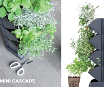 MINI CASCADE IO1W200 .jpg