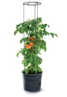 Doniczka do uprawy pomidorów, planter Tomato Grower 400