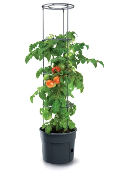 Tomato_Grower_IPOM400_sadzonka_m.jpg