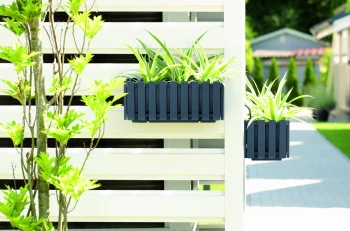 Boardee_Fencycase_DDEF400W_405U_aranz_01.jpg