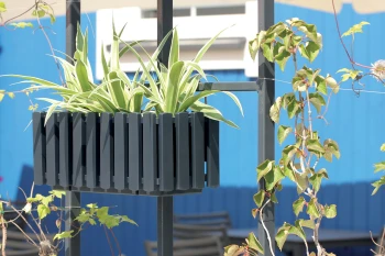 Boardee_Fencycase_DDEF400W_S433_aranz_02_m.jpg