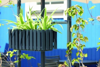 Boardee_Fencycase_DDEF400W_S433_aranz_02.jpg
