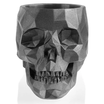 SKULL_LOW-POLY_11_CM_Steel_AC06_10393_IMAGE_2_A.jpg