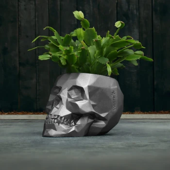 SKULL_LOW-POLY_11_CM_Steel_AC06_10393_IMAGE_5.jpg