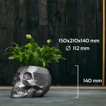 SKULL_LOW-POLY_11_CM_Steel_AC06_10393_IMAGE_6.jpg