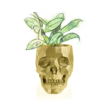 SKULL_LOW-POLY_7,6_CM_Classic_Gold_AC06_23684_IMAGE_1.jpg