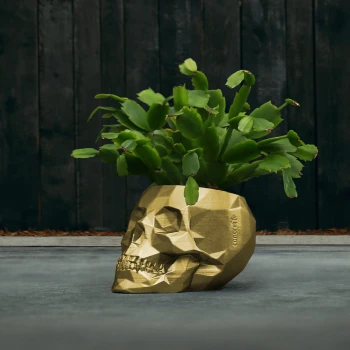 SKULL_LOW-POLY_7,6_CM_Classic_Gold_AC06_23684_IMAGE_5.jpg