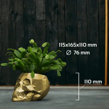 SKULL_LOW-POLY_7,6_CM_Classic_Gold_AC06_23684_IMAGE_6.jpg