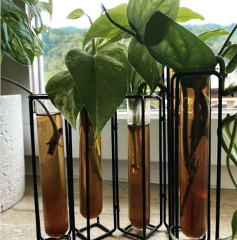 SZYBCIEJ UKORZENIAJ! Ukorzeniacz młodych roślin, PLANT Lover