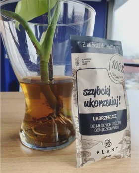 SZYBCIEJ UKORZENIAJ! Ukorzeniacz młodych roślin, PLANT Lover