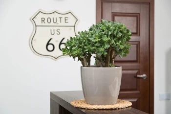 MAGNOLIA taupe nr 44_1.jpg