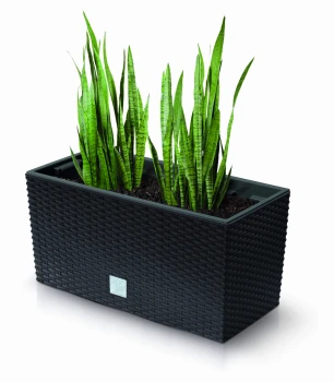 Rato_Case_DRC400_S433_roslina.jpg