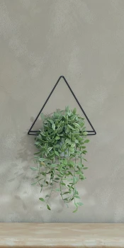 Showy Hanger_IKSH2M_aranz_01_m.jpg