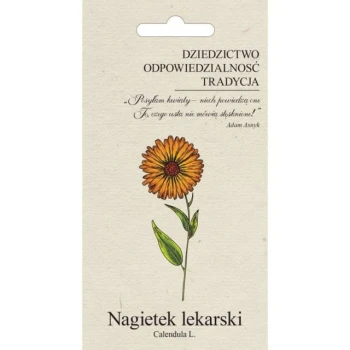 nagietek-lekarski-pomaranczowy.jpg