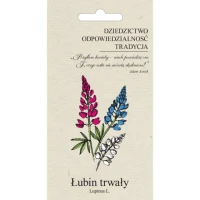 Nasiona Łubin trwały ogrodowy - mieszanka 2g