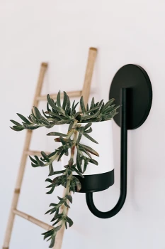 Bloomie_Hanger_IKBH600_S449_aranz_01-3.png
