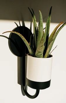Bloomie_Hanger_IKBH600_S449_aranz_03-3.png