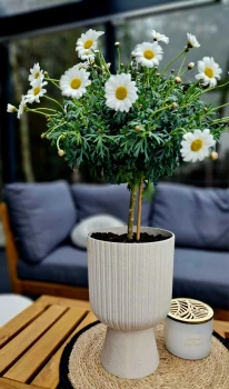 doniczka-na-nozce-keli-mika-eco-wood.jpeg