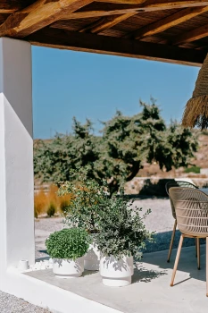Doniczka okrągła HEOS DBHEN400 z wkładem, zielona pinia, Prosperplast