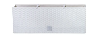 DRTC_S449.jpg