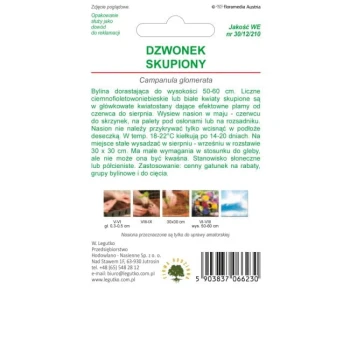 dzwonek-skupiony-mieszanka (1).jpg