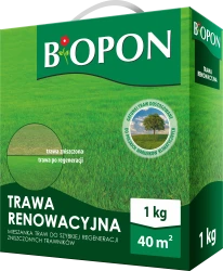 Bopon Trawa renowacyjna 1kg