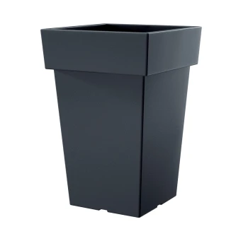 DLOFQ_S433.jpg