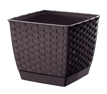 Ratolla_square_DRLK_umbra_s.jpg