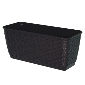 DRL_P_ratolla)case_umbra.png
