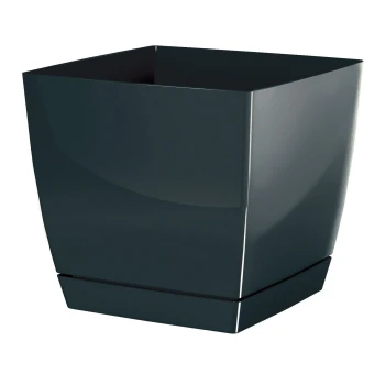 DUKP_426U.jpg