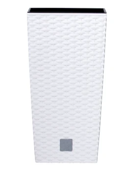 DRTS_S449 RATO.jpg
