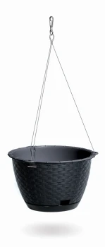 DRLWS_S433.jpg