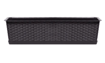 umbra