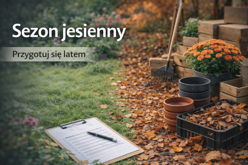 Jak przygotować sklep na sezon jesienny już latem?